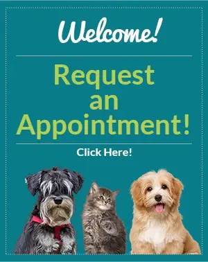 Welcome! Request an Appointment. Click here!